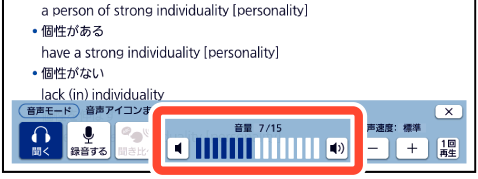 Adjust_The_Volume 001 SA2900